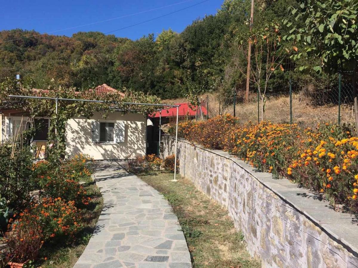Guesthouse "Athina" Elliniko  Екстериор снимка